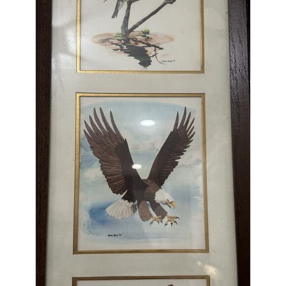 Gene Gray Wood Framed Signed 70 Prints King Fisher Bald Eagle Owl - Picture 4 of 5